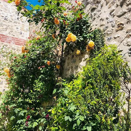 Maison D'architecte En Plein Coeur D'honfleur Avec Bain Nordique *