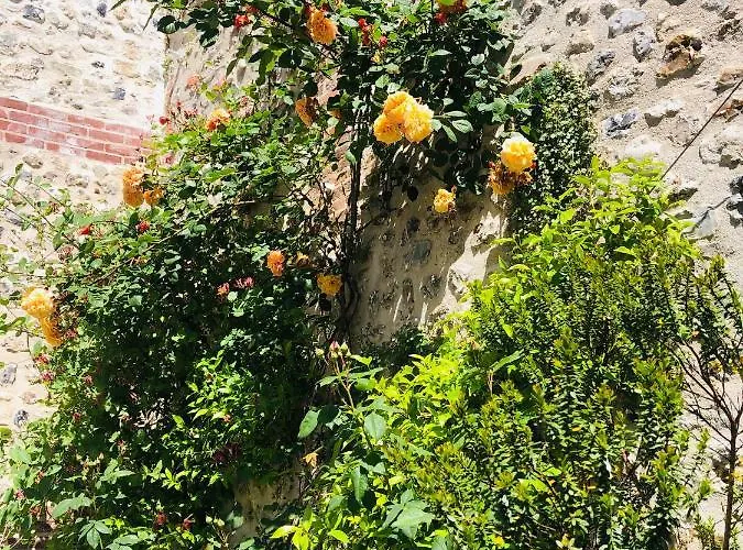 Maison D'architecte En Plein Cœur D'honfleur Avec Bain Nordique *
